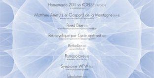 les digitales 2011