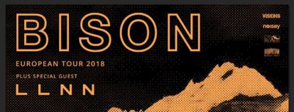 Bison + Llnn