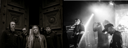 Alta Rossa + ShEver